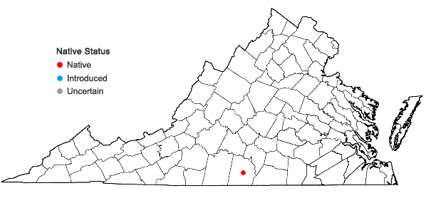 Locations ofDichanthelium harvillii Ludwig & LeBlond in Virginia