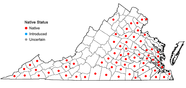 Locations ofDichanthelium laxiflorum (Lam.) Gould in Virginia