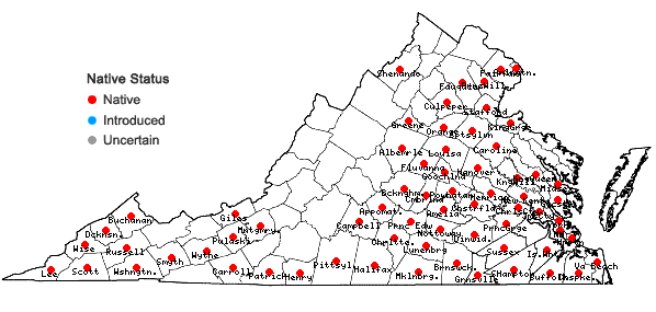 Locations ofDichanthelium laxiflorum (Lam.) Gould in Virginia