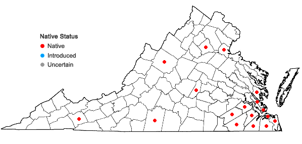Locations ofDichanthelium longiligulatum (Nash) Freckmann in Virginia