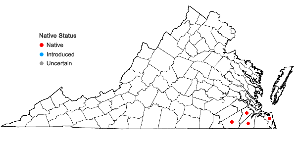Locations ofDichanthelium mutabile (Scribner & J.G. Smith ex Nash) Wipff in Virginia