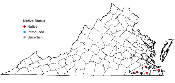 Locations ofDichanthelium mutabile (Scribner & J.G. Smith ex Nash) Wipff in Virginia
