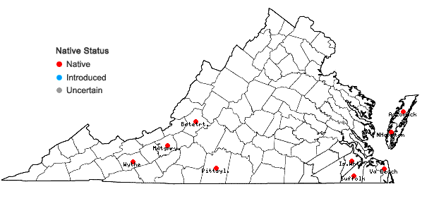 Locations ofDichanthelium ovale (Ell.) Gould & C.A. Clark var. ovale in Virginia