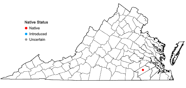 Locations ofDichanthelium recognitum (Fernald) LeBlond in Virginia