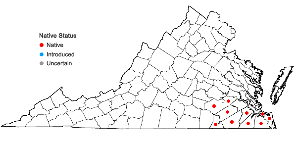 Locations ofDichanthelium scabriusculum (Ell.) Gould & C.A. Clark in Virginia