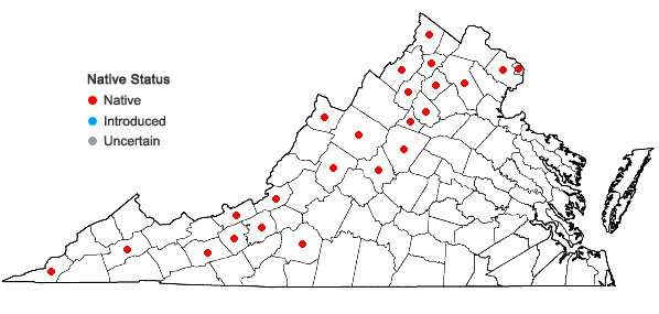 Locations ofDichanthelium scribnerianum (Nash) J.R. Thomas in Virginia