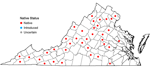 Locations ofDicranum montanum Hedwig in Virginia
