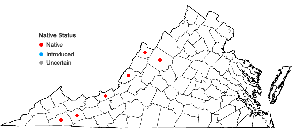 Locations ofDidymodon fallax (Hedw.) R.H. Zander  in Virginia
