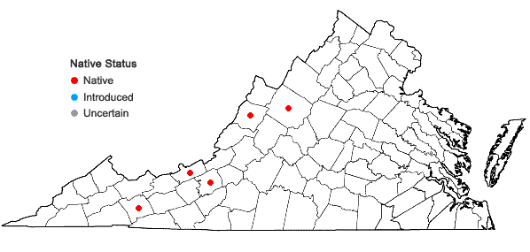 Locations ofDidymodon ferrugineus (Schimp. ex Besch.) M.O. Hill in Virginia