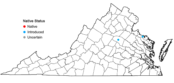 Locations ofDigitalis purpurea L. in Virginia
