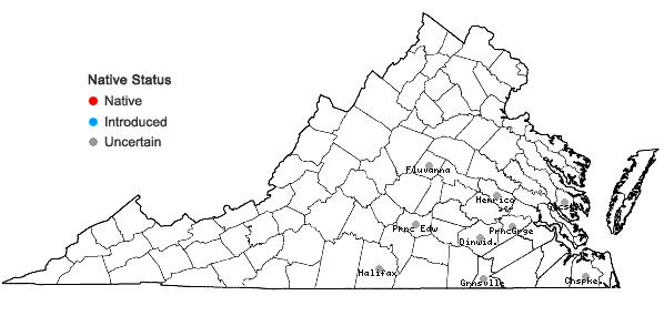 Locations ofDinebra panicea (Retz.) P.M. Peterson & N. Snow ssp. brachiata (Steud.) P.M. Peterson & N. Snow in Virginia