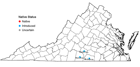 Locations ofDinebra panicoides (J. Presl.) P.M. Peterson & N. Snow in Virginia