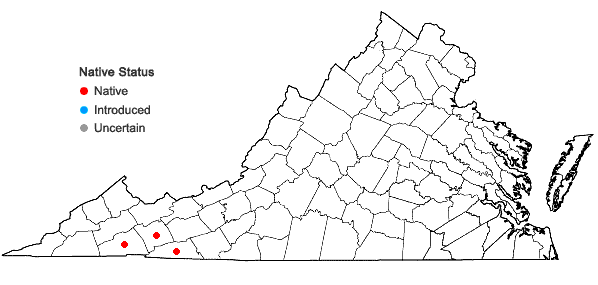 Locations ofDiphylleia cymosa Michx. in Virginia