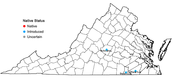 Locations ofDiplotaxis tenuifolia (Linnaeus)A. P. DeCandolle in Virginia