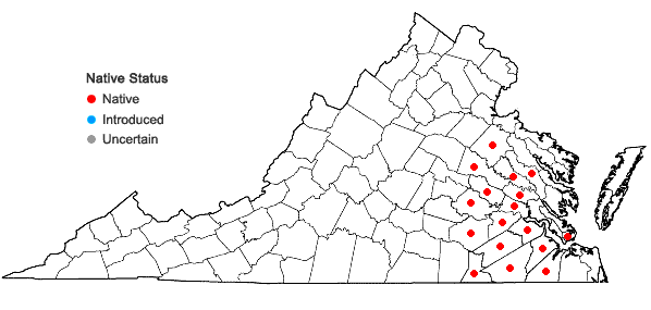 Locations ofDrosera brevifolia Pursh in Virginia