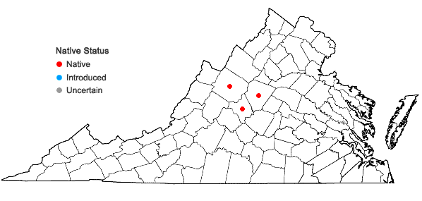 Locations ofDrymocallis arguta (Pursh) Rydberg in Virginia