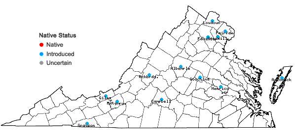 Locations ofDysphania pumilio (R. Br.) Mosyakin & Clemants in Virginia