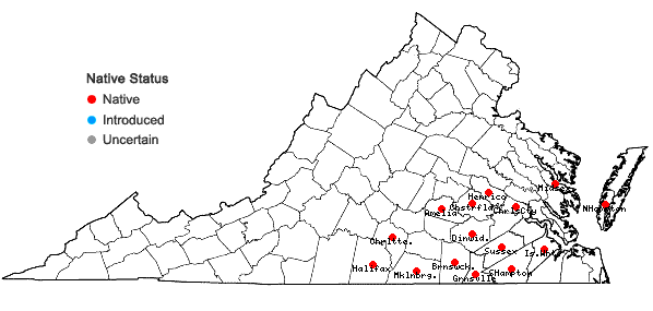 Locations ofEchinodorus cordifolius (L.) Grisebach in Virginia