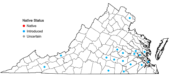 Locations ofEgeria densa Planchon in Virginia