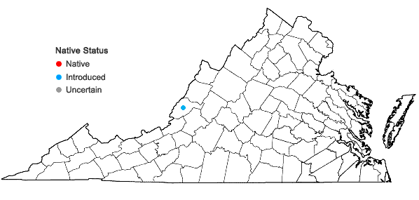 Locations ofElaeagnus multiflora Thunb. in Virginia