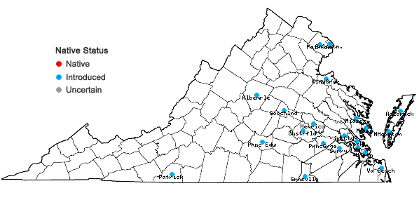Locations ofElaeagnus pungens Thunb. in Virginia