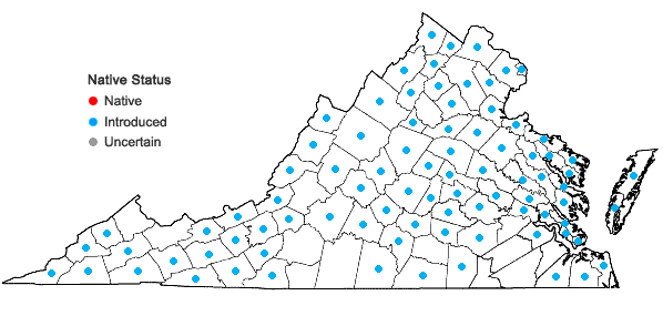 Locations ofElaeagnus umbellata Thunb. in Virginia