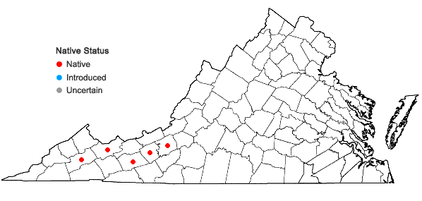 Locations ofEleocharis intermedia Schultes in Virginia