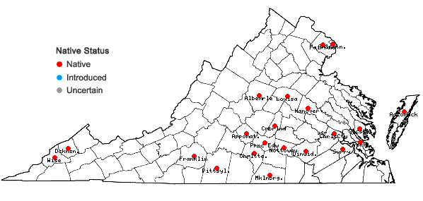 Locations ofElymus glabriflorus (Vasey ex L.H. Dewey) Scribn. & C.R. Ball var. australis (Scribn. & C.R. Ball) J.J.N. Campbell in Virginia