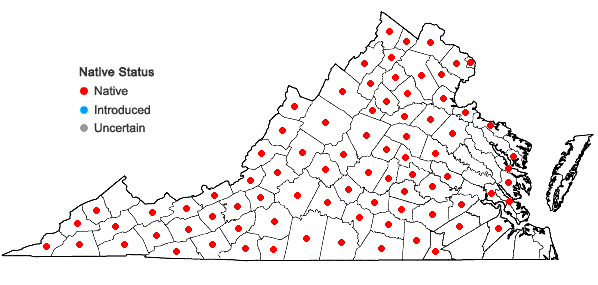 Locations ofElymus hystrix L. var. hystrix in Virginia