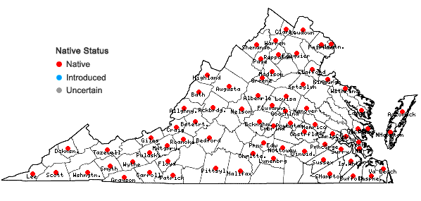 Locations ofElymus villosus Muhl. ex Willd. in Virginia