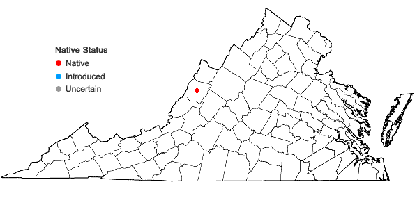 Locations ofElymus virginicus L. var. jejunus (Ramalay) Bush in Virginia