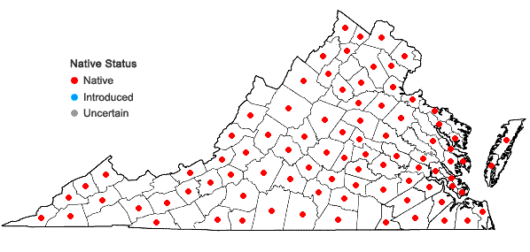 Locations ofEndodeca serpentaria (L.) Raf. in Virginia