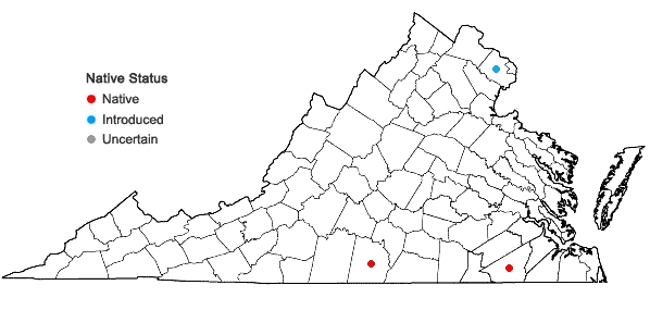 Locations ofEnemion biternatum Raf. in Virginia