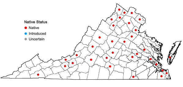 Locations ofEragrostis pectinacea (Michx.) Nees var. pectinacea in Virginia
