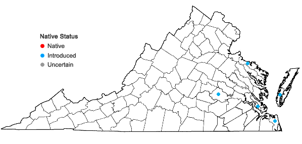 Locations ofEremochloa ophiuroides (Munro) Hack. in Virginia