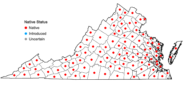 Locations ofErigeron canadensis L. in Virginia