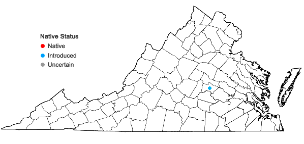 Locations ofEriochloa acuminata (J. Presl) Kunth var. acuminata in Virginia