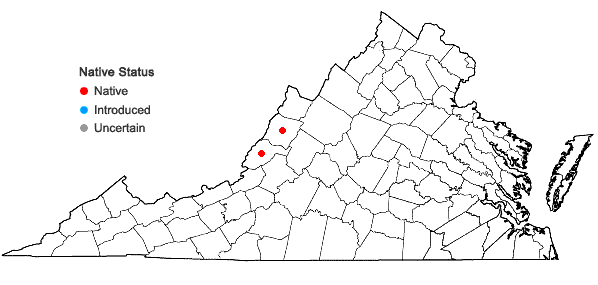 Locations ofErysimum capitatum (Douglas ex. Hooker) E. L. Greene var. capitatum in Virginia