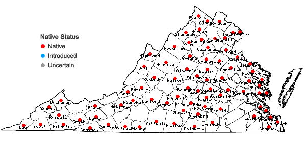 Locations ofErythronium americanum Ker-Gawl. ssp. americanum in Virginia