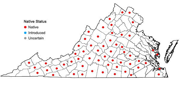 Locations ofErythronium umbilicatum Parks & Hardin ssp. umbilicatum in Virginia