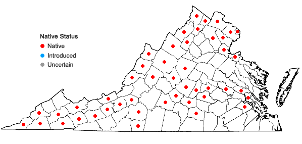 Locations ofEuonymus atropurpureus Jacq. in Virginia