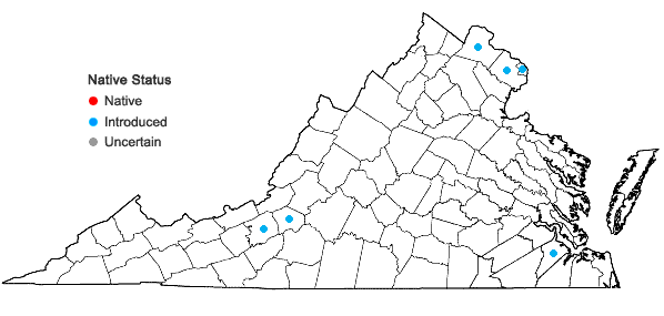Locations ofEuonymus europaeus L. in Virginia
