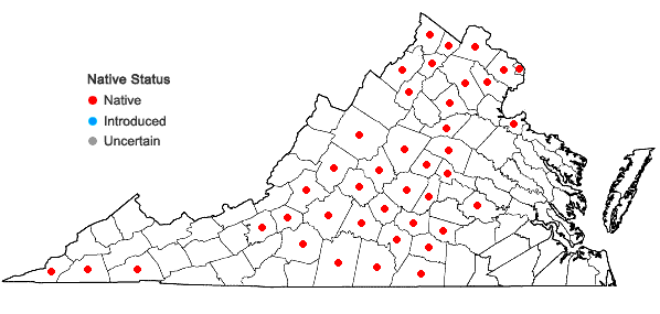 Locations ofEupatorium altissimum L. in Virginia