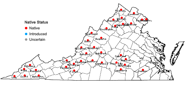 Locations ofEuphorbia commutata Engelm. in Virginia