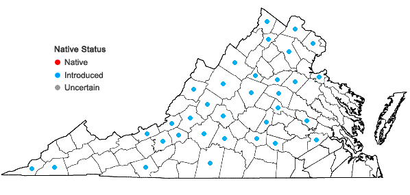 Locations ofEuphorbia davidii Subils in Virginia