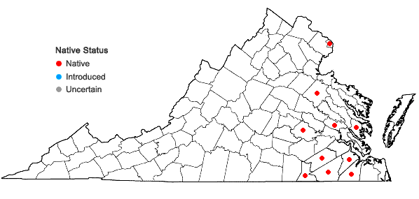 Locations ofEuphorbia ipecacuanhae L. in Virginia