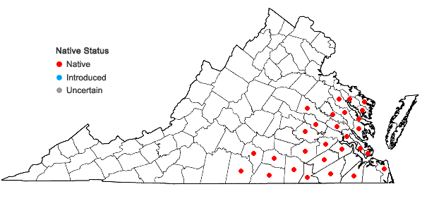 Locations ofEurybia compacta Nesom in Virginia
