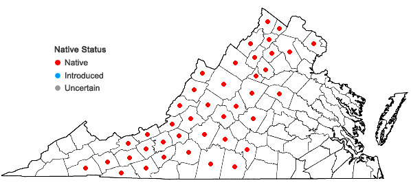 Locations ofEurybia macrophylla (L.) Cass. in Virginia