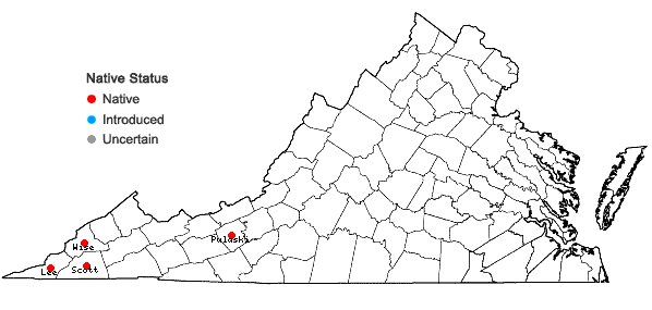Locations ofEurybia surculosa (Michx.) Nesom in Virginia