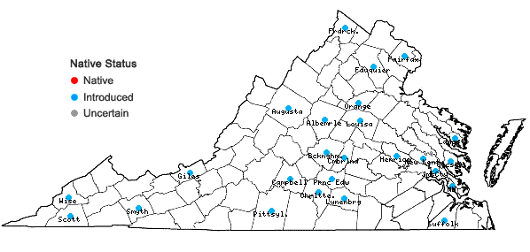 Locations ofFagopyrum esculentum Moench in Virginia